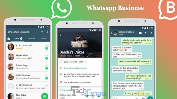 whatsapp business gb