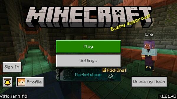 minecraft 1 21 43 apk