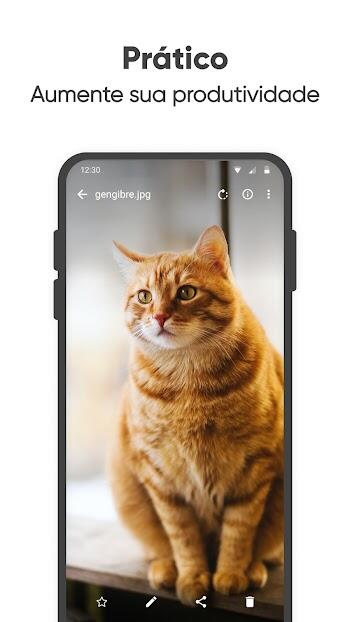 galeria simples pro apk download